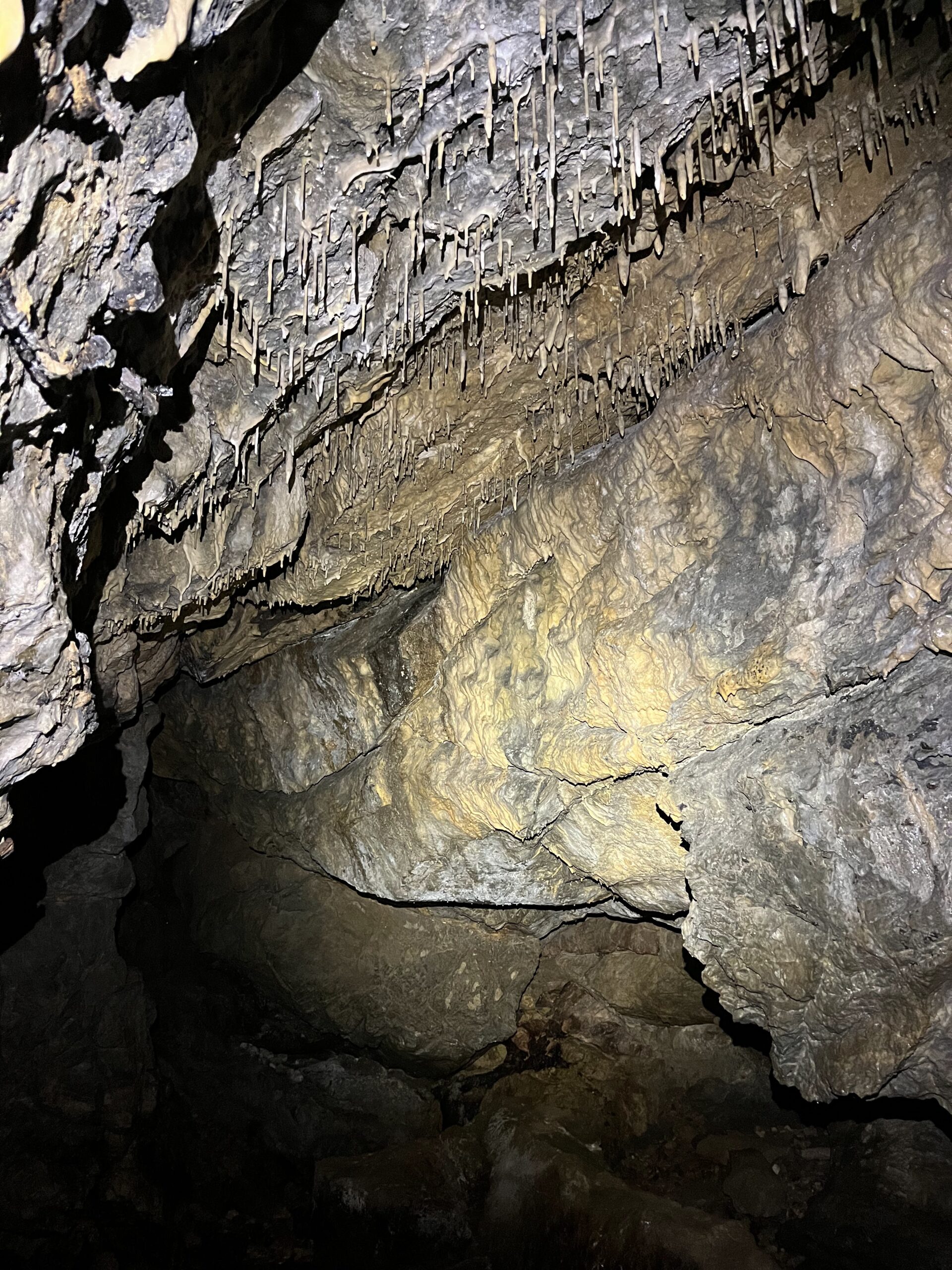 Inside Cnoc nan Uamh, Scotland
