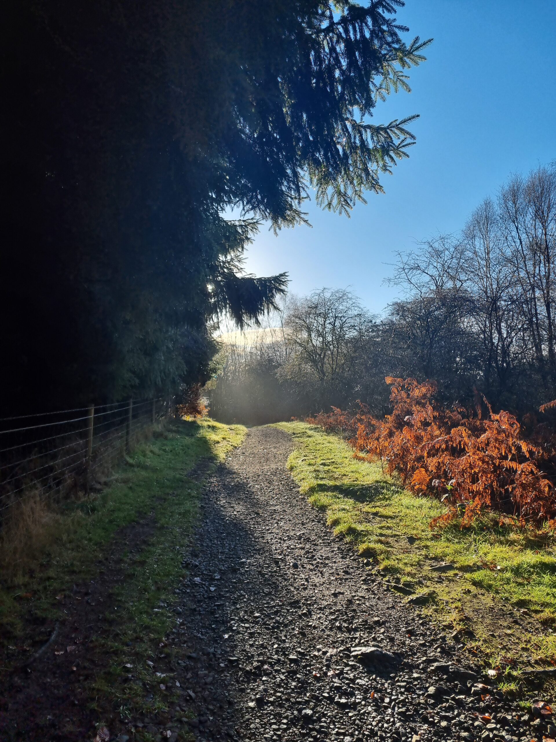 The West Highland Way through Mugdock Country Park, Scotland