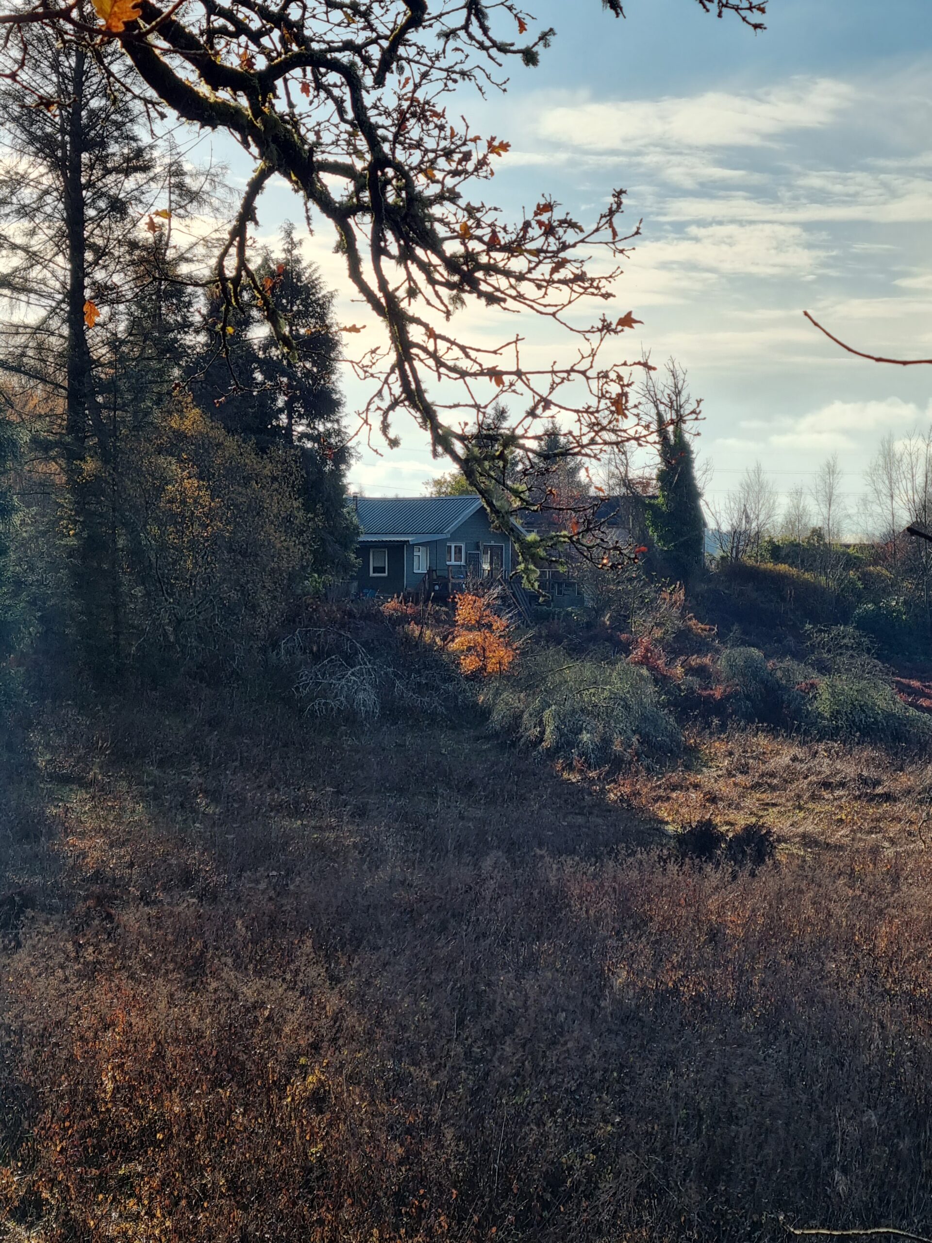 Autumn in Mugdock Country Park, Scotland