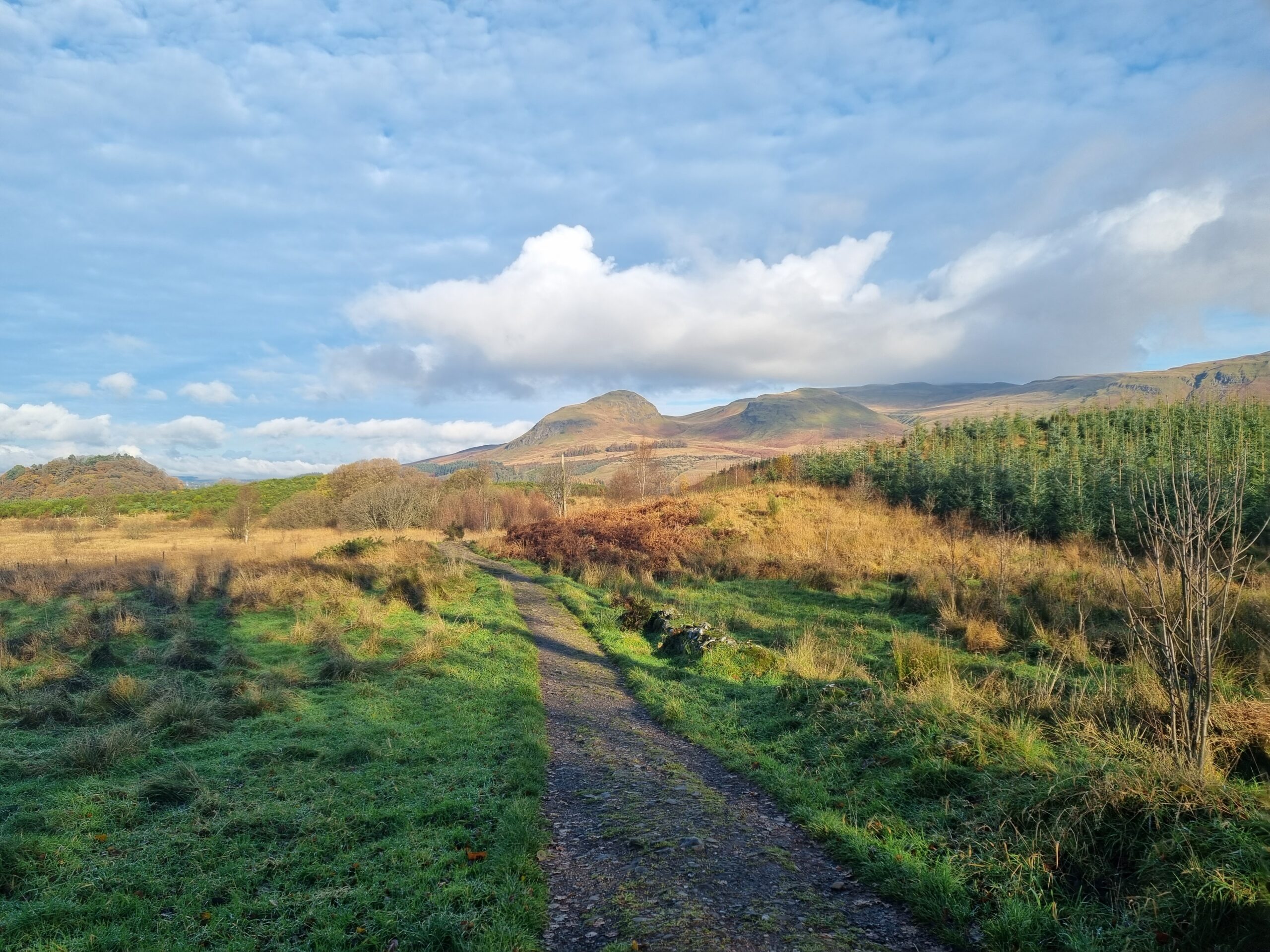 The West Highland Way looking out to Dumgoyne in the Campsie Fells