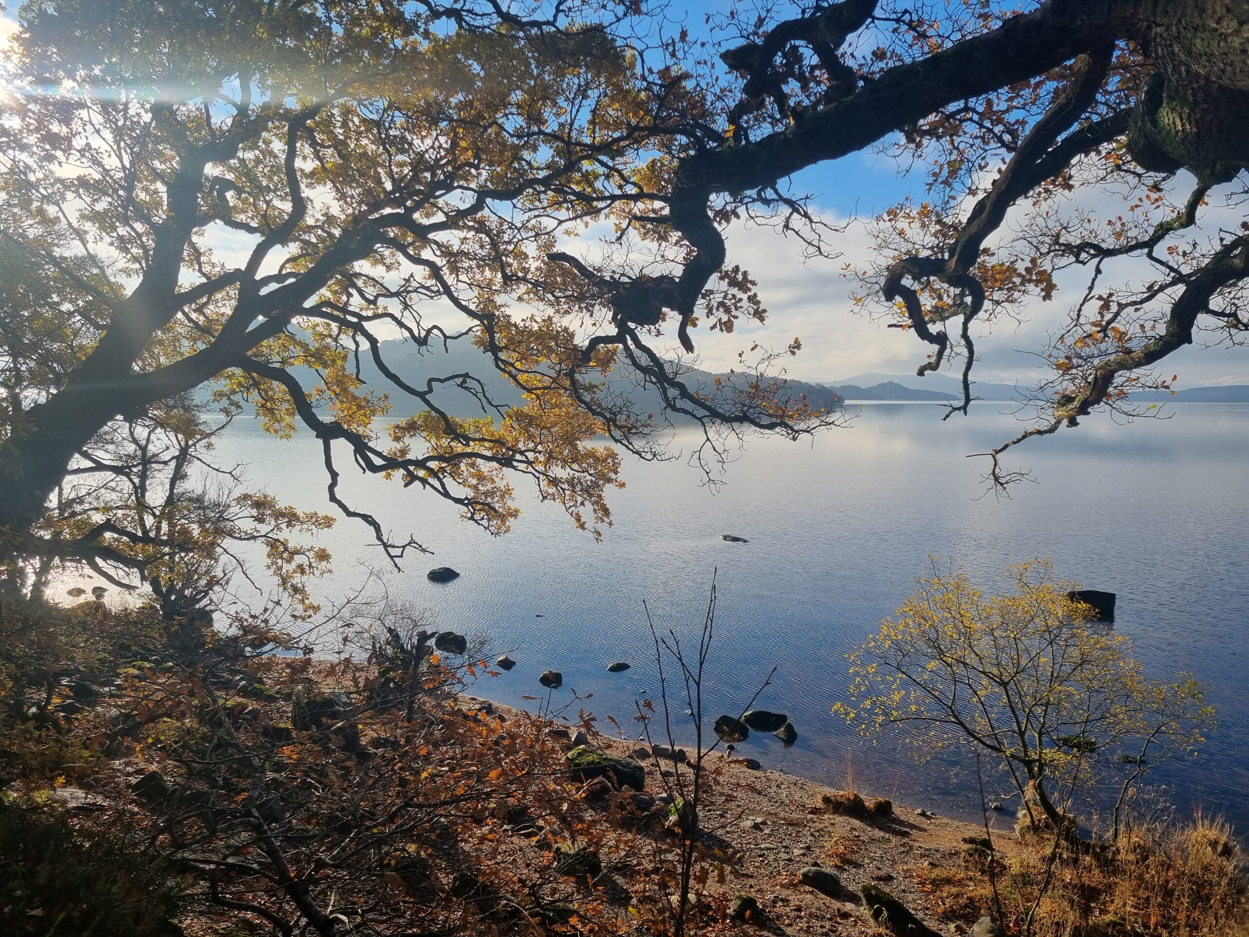 Autumn colours on the shore of Loch Lomond, near Balmaha