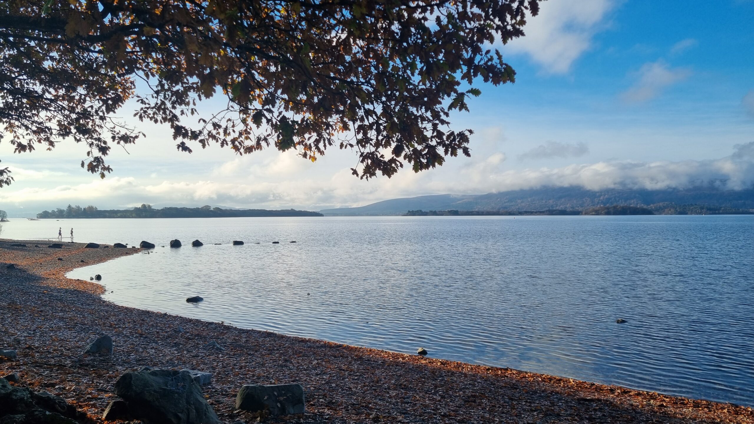 Two swimmers on Milarrochy Bay, Loch Lomond