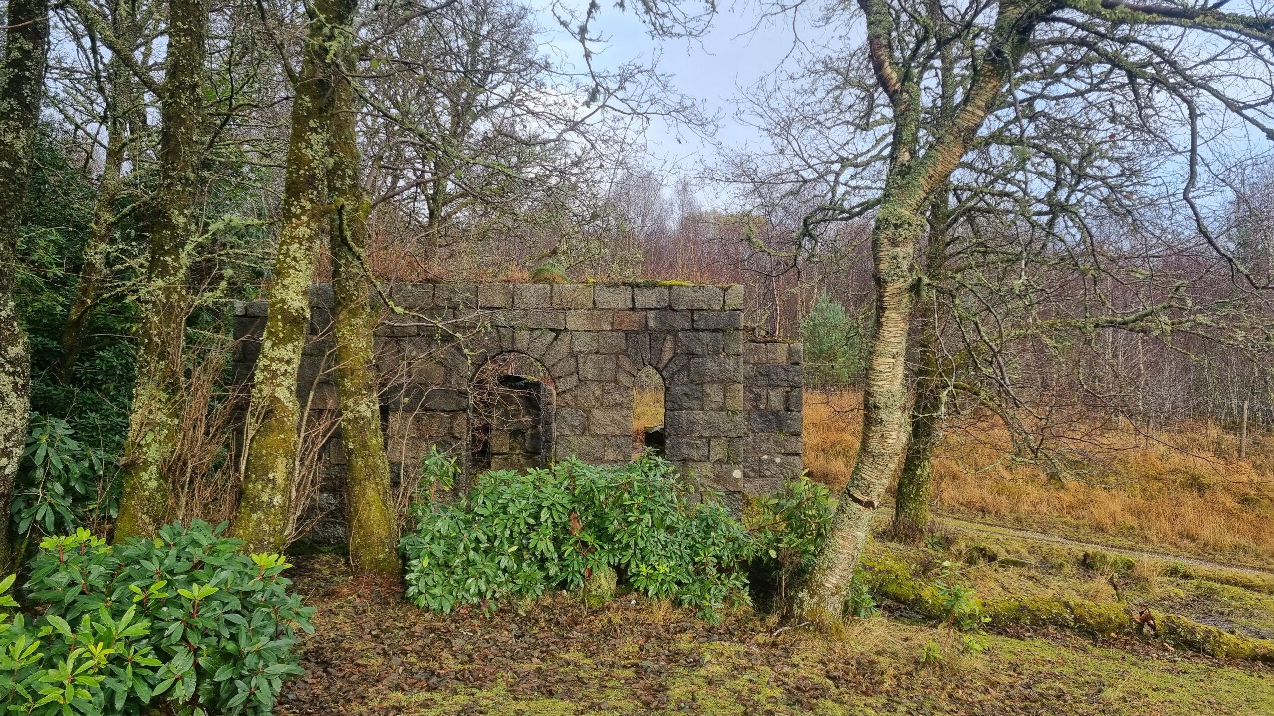 Ruin along the West Highland Way, Scottish Highlands