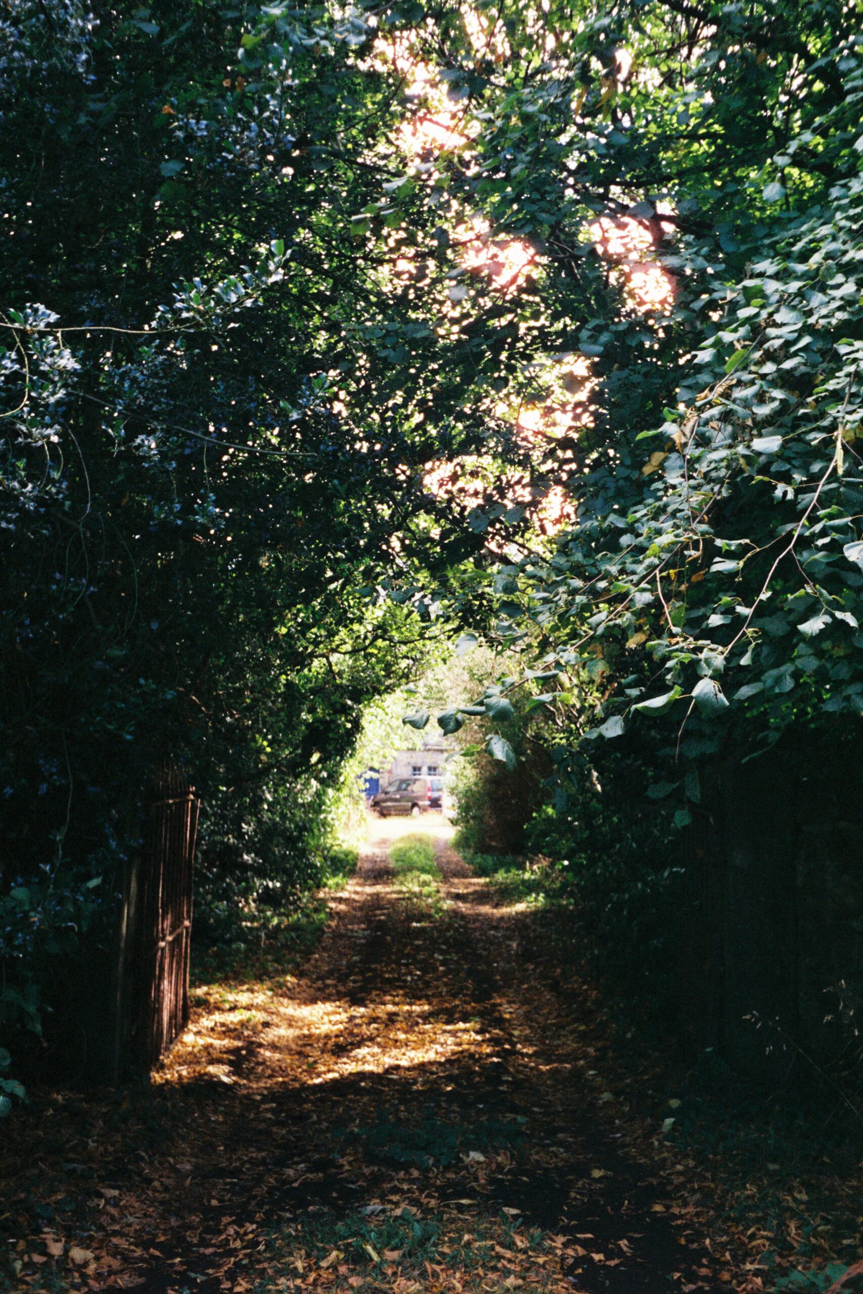 driveway edinburgh