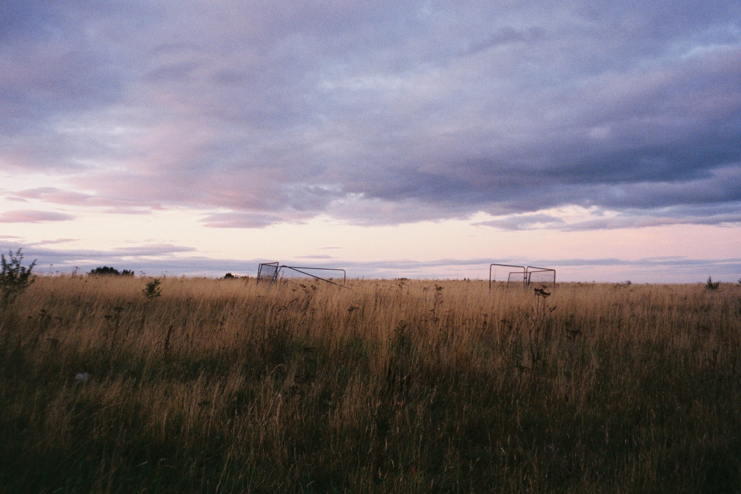 wheat field edinburgh